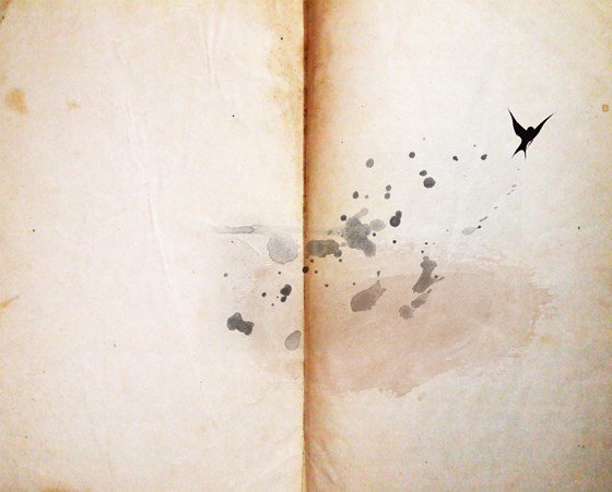 Иллюстрации: Иллюстрация 